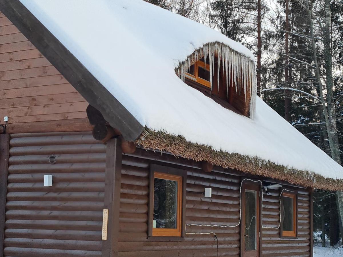 Vila Pirts Maja Ramatas Skulte  Exteriér fotografie